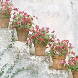 ideas-decorar-rincones-jardines-patios