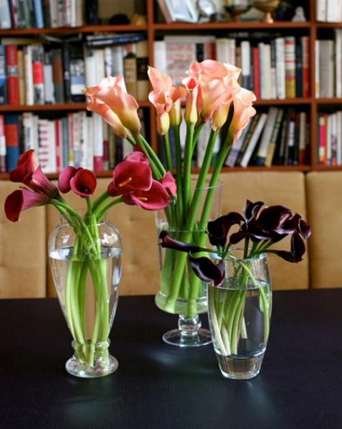Cómo conservar flores para decorar - Ideas Casas